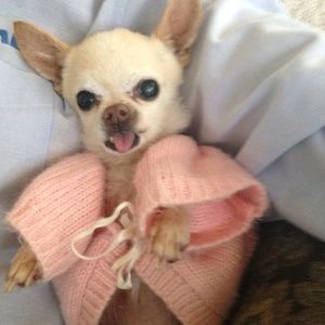 Meet your Posher, Louise